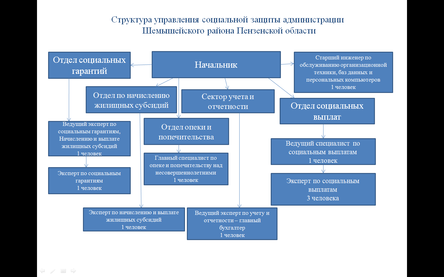 Структура организации
